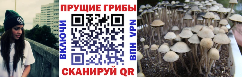 Галлюциногенные грибы GOLDEN TEACHER  Ивангород 
